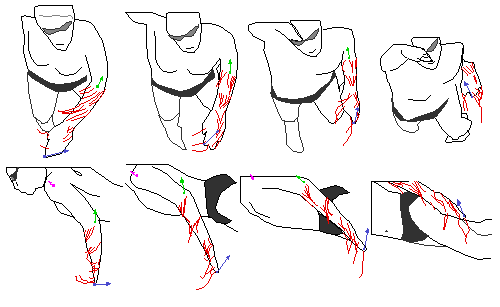 stroke swimming diagram